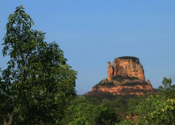 MPF aciona Justiça contra grilagem de 110 mil hectares em estação ecológica no Piauí