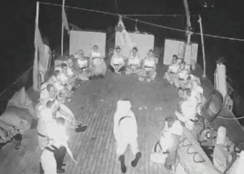 Governo brasileiro precisa agir com mais firmeza para libertar detidos por Israel em flotilha, diz ativista