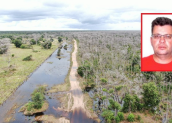 Pecuarista pagará mais de R$ 1 milhão por desmatar Pantanal