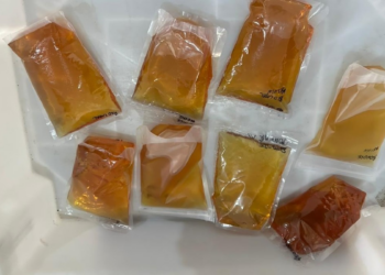 Advogada tenta entrar com pacotes de uísque na PCE