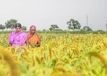 ONU celebra mulheres rurais como guardiãs do futuro comum da humanidade