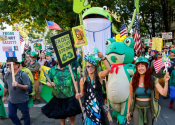 'No Kings': por que manifestantes se fantasiam de sapo, unicórnio e galinha nos protestos contra Trump?