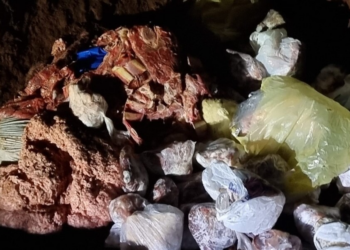 500 kg de carne sem procedência são apreendidos em Marilândia do Sul