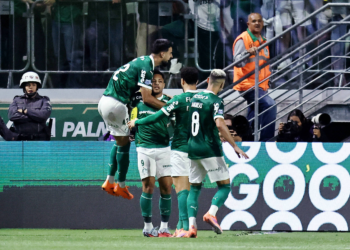 A alma do Palmeiras tem sido mais forte