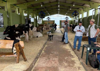 Torneio Leiteiro da Expovale beneficia famílias atingidas pelo tornado