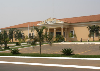 Vendedor e veterinário são condenados a mais de 55 anos de cadeia