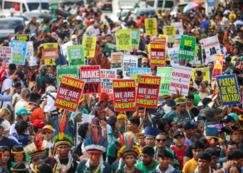 A educação científica e ambiental é esforço presente para salvar o futuro ancestral