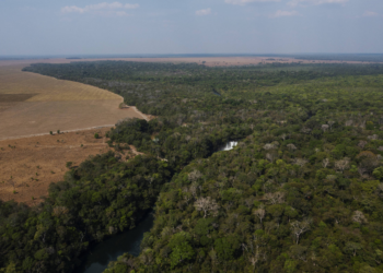 Mato Grosso aciona STF contra demarcação de terra indígena anunciada por Lula na COP30