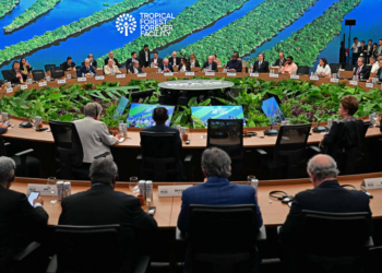 Alemanha quer incentivar investimento privado no TFFF