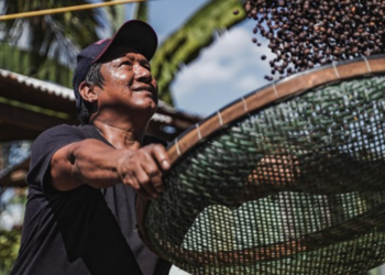 Cooperação que transforma: Sicoob leva cases de sucesso para a COP30