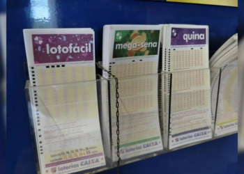 Veja o resultado da Lotofácil concurso 3551 desta segunda-feira (01)