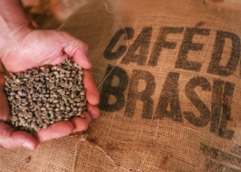 Café e poder: a longa história do grão que os governos insistem em controlar