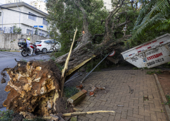 Vendaval de quarta (10) foi o terceiro mais forte na cidade de SP desde 2006