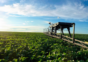 Alimento básico cai no campo, mas exportação sustenta as carnes