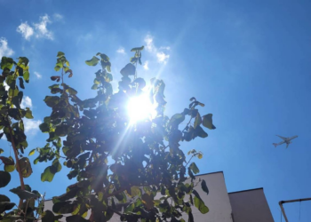 Primeiro dia de verão, domingo (21) tem sol com poucas nuvens em SP