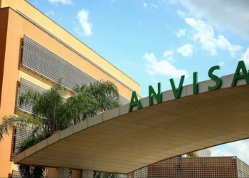 Anvisa divulga guia para evitar intoxicação alimentar no fim de ano