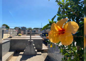 Confira a lista atualizada dos falecimentos desta segunda-feira (22)