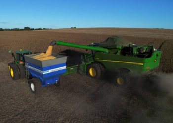 Dólar abre em leve queda nesta quinta-feira após anúncio do PIB brasileiro