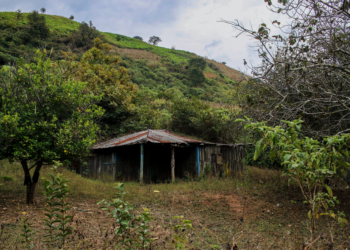 Buscas por mineradores sequestrados revelam valas e corpos perto de mina no México