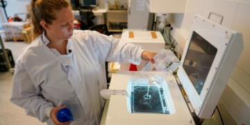 ONU assinala Dia Internacional das Mulheres e Meninas na Ciência