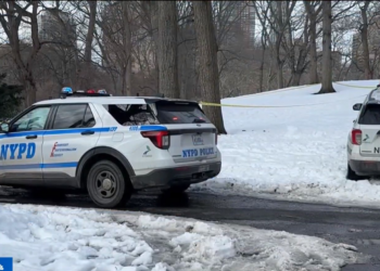 Corpo é encontrado debaixo de pilha de neve no Central Park e polícia abre investigação