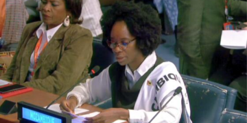 Moçambique propõe rede global de justiça social para fim da violência contra mulher