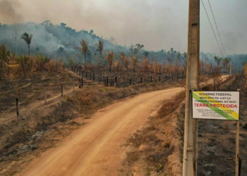 TCU suspende Ferrogrão por falta de licença ambiental e risco a terras indígenas em MT