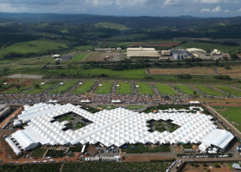 Preço do café cai, mas ainda remunera produtor, e mercado vive incertezas com juros e guerra