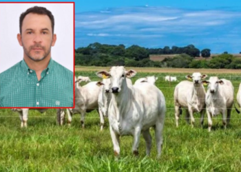 Vereador de MT paga R$ 16 mil de fiança e deixa a prisão após ser alvo de operação por gado roubado