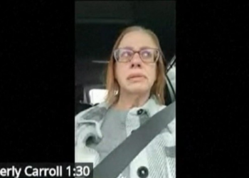 Pega na mentira: mulher finge que não está dirigindo durante audiência on-line, leva bronca do juiz e perde a causa; VÍDEO