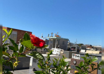 Confira os falecimentos desta quarta-feira (22) em Apucarana