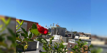 Confira os falecimentos desta quarta-feira (22) em Apucarana