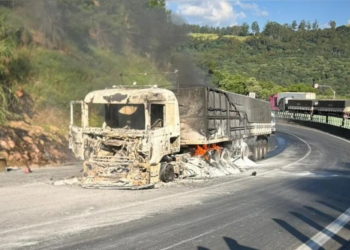 Incêndio destrói carreta com bicarbonato e atinge vegetação em Mauá da Serra