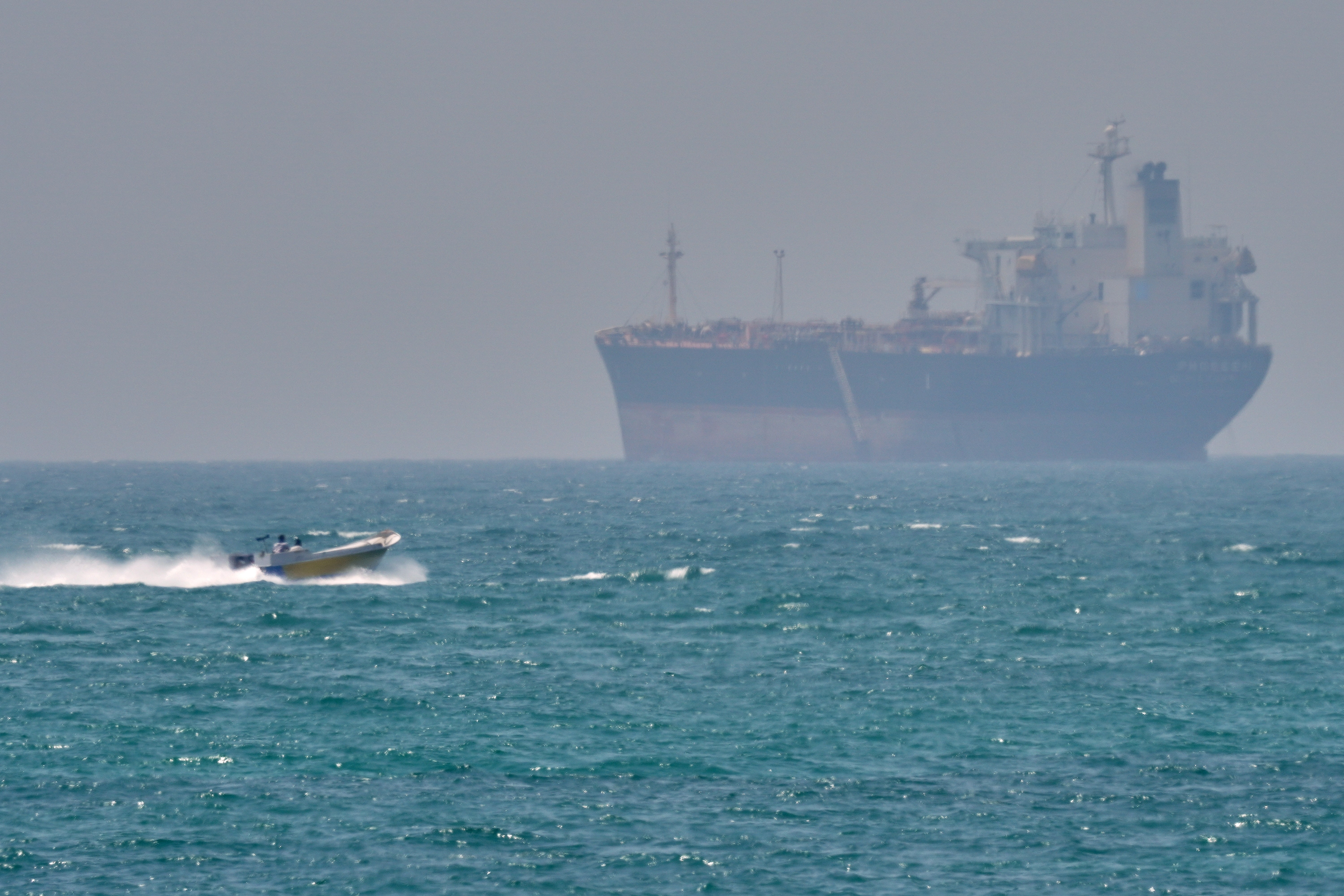 Irã pode usar golfinhos com minas em ataques a navios, diz jornal