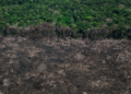 A soberania nacional se decide na amazônia