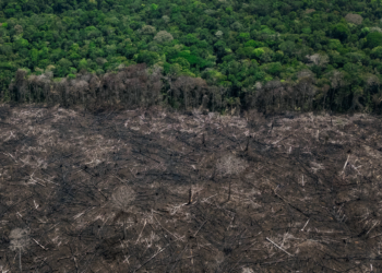 A soberania nacional se decide na amazônia