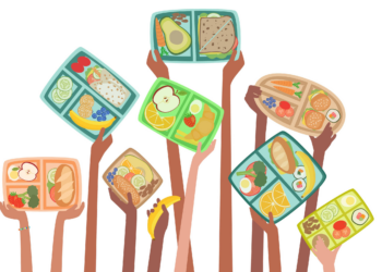 Qualidade da alimentação infantil importa mais do que variedade, diz pesquisa