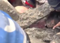 VÍDEO mostra resgate de menina no Nepal dois dias após avalanche destruir casa onde ela estava