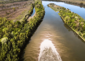 Liberland: micronação não reconhecida recebe 800 mil pedidos de cidadania