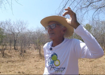 Sertanejo usa plantas e animais para prever chuvas no RN