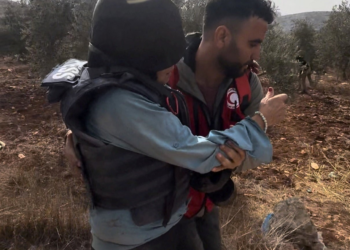VÍDEO mostra jornalista dos EUA ferida após ataque de colonos israelenses