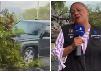 VÍDEO: Repórter e cinegrafista são atropelados durante entrada ao vivo no México