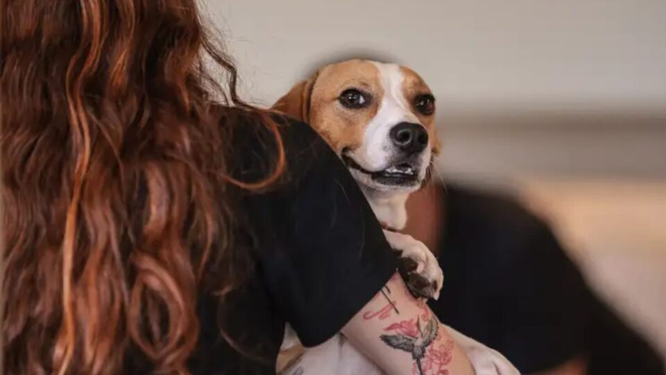 Pet supera filho como símbolo de sucesso entre jovens brasileiros